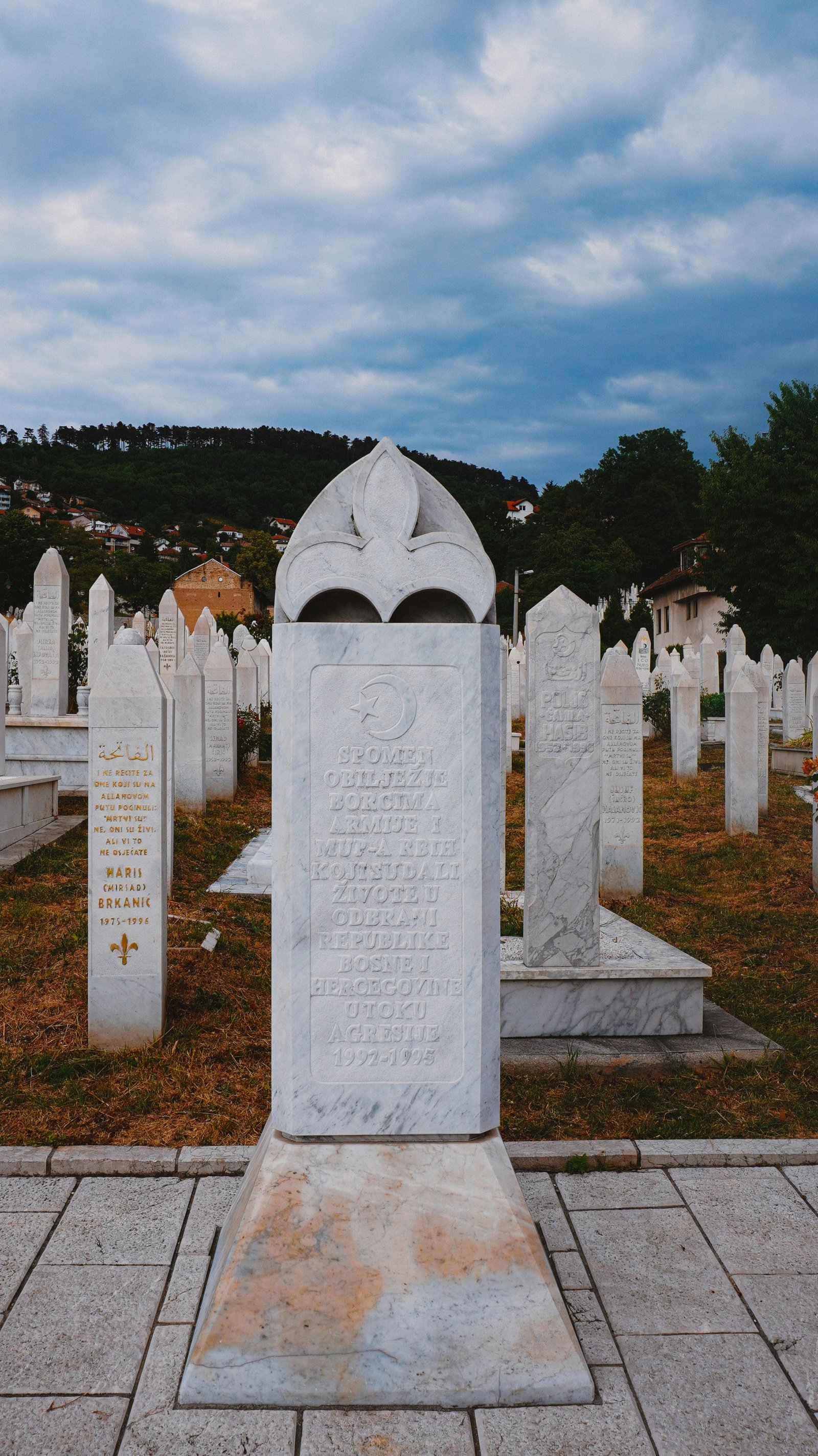 Toplumsal dayanışma